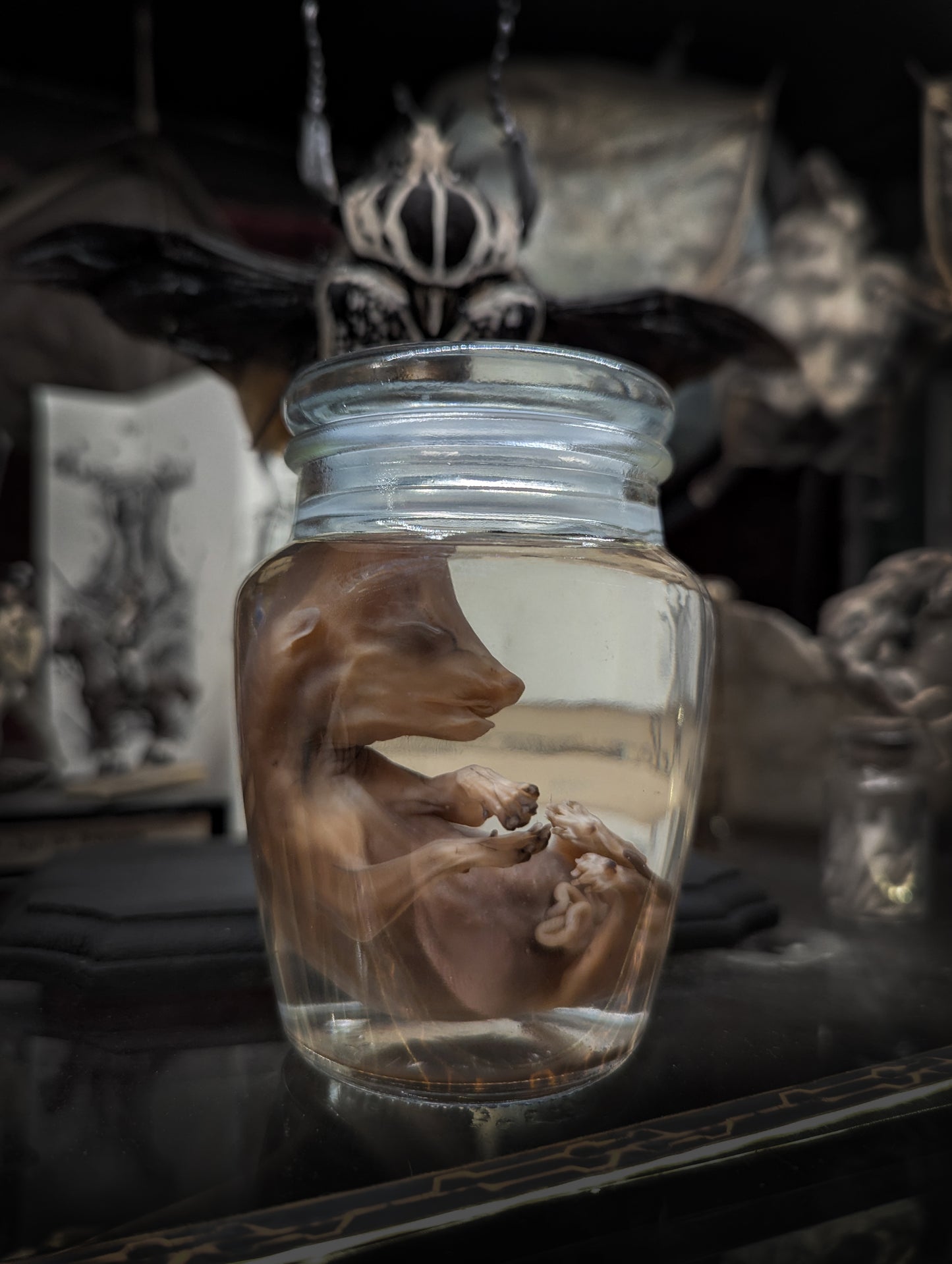 Puppy dog fetus in wetspecimen