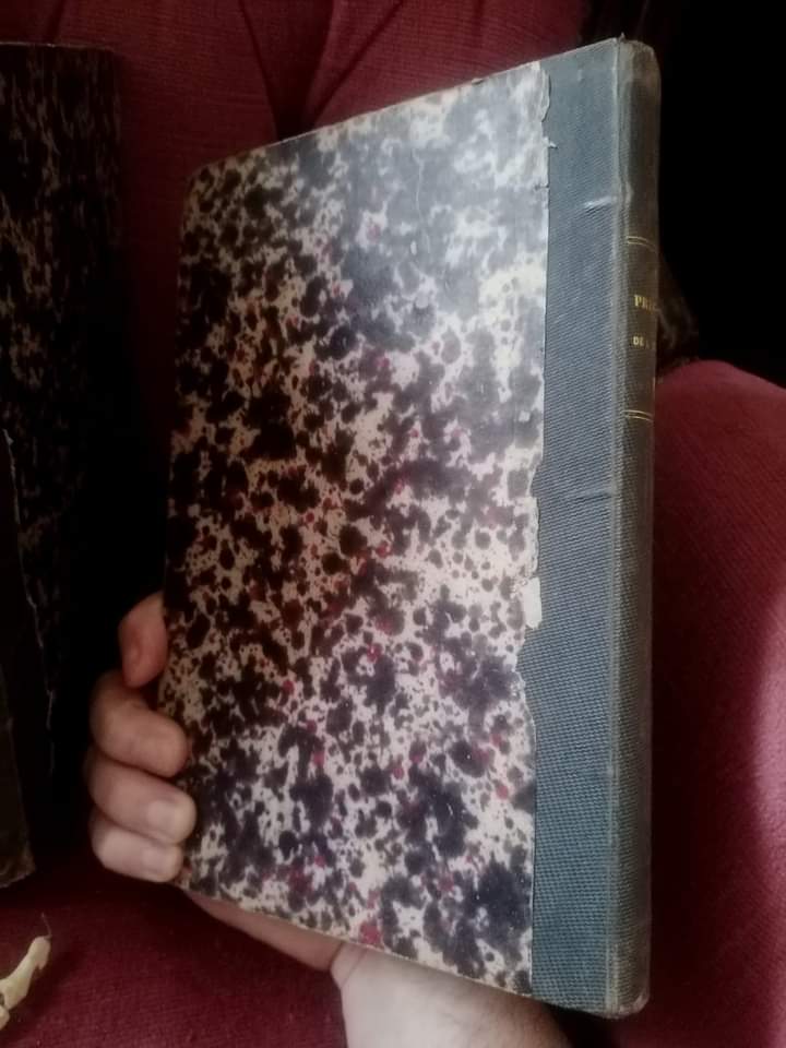 Anciens livres sur "les Prisons de l'Europe" de 1845 à 1851