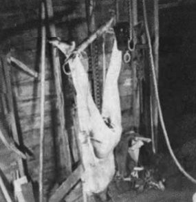 Piece of ED GEIN's infamous farm in a frame with photo