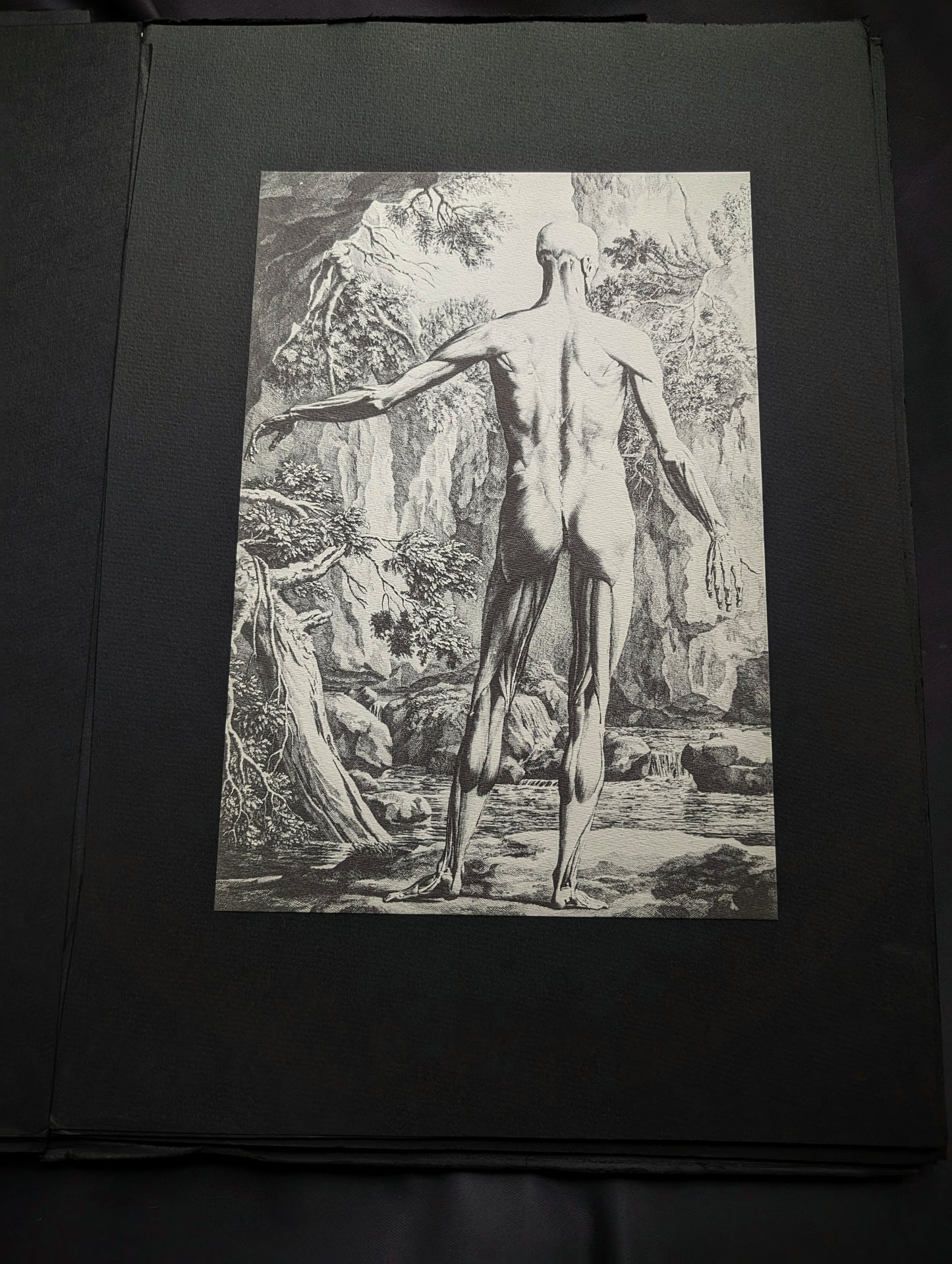 "Médecine d'Autrefois" with twelve prints in facsimile on black paper, size 51x31cm, edition from 1985