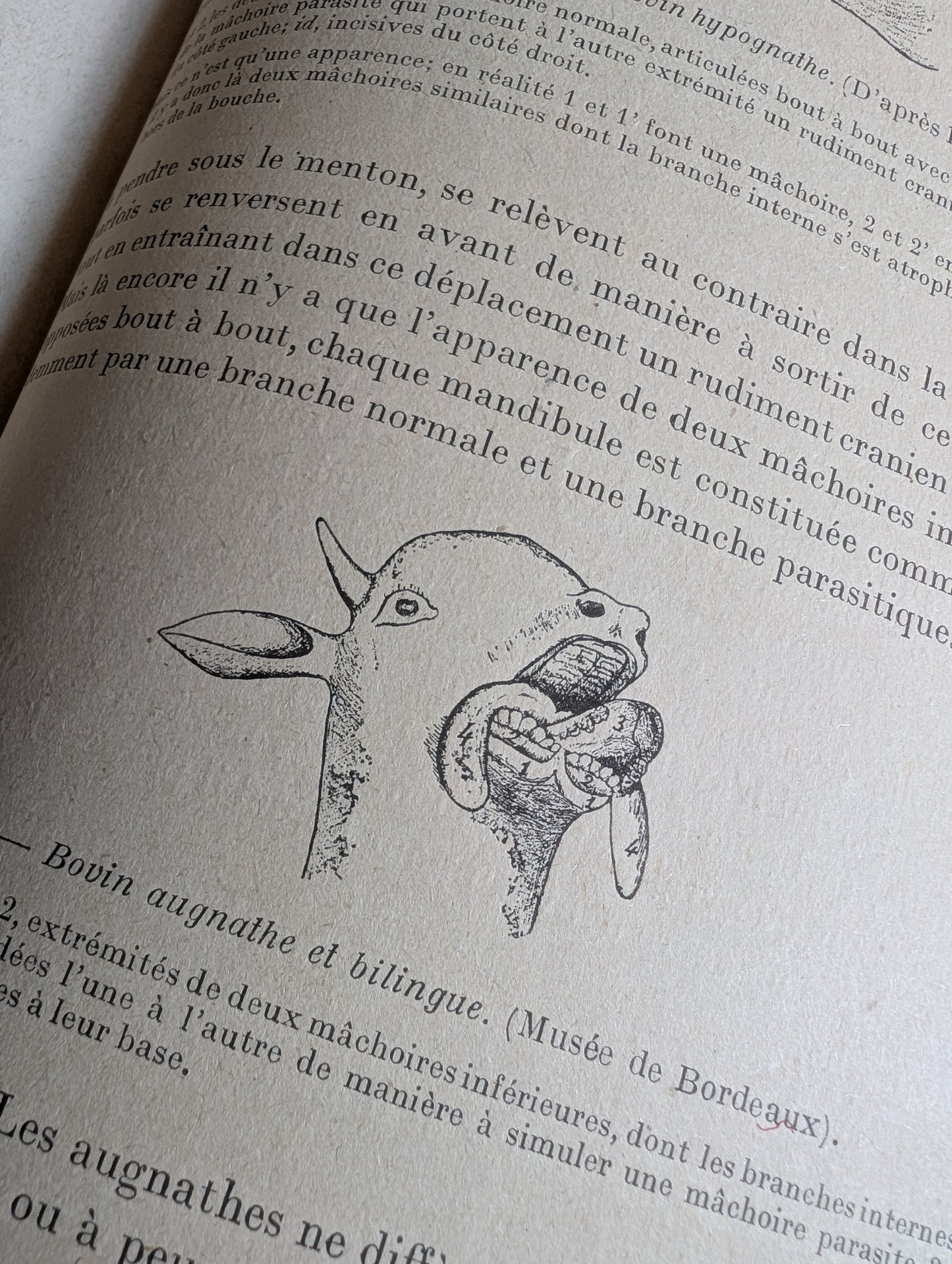 Livre 1927 Traité de Tératologie (252 figures de monstres et malformations)