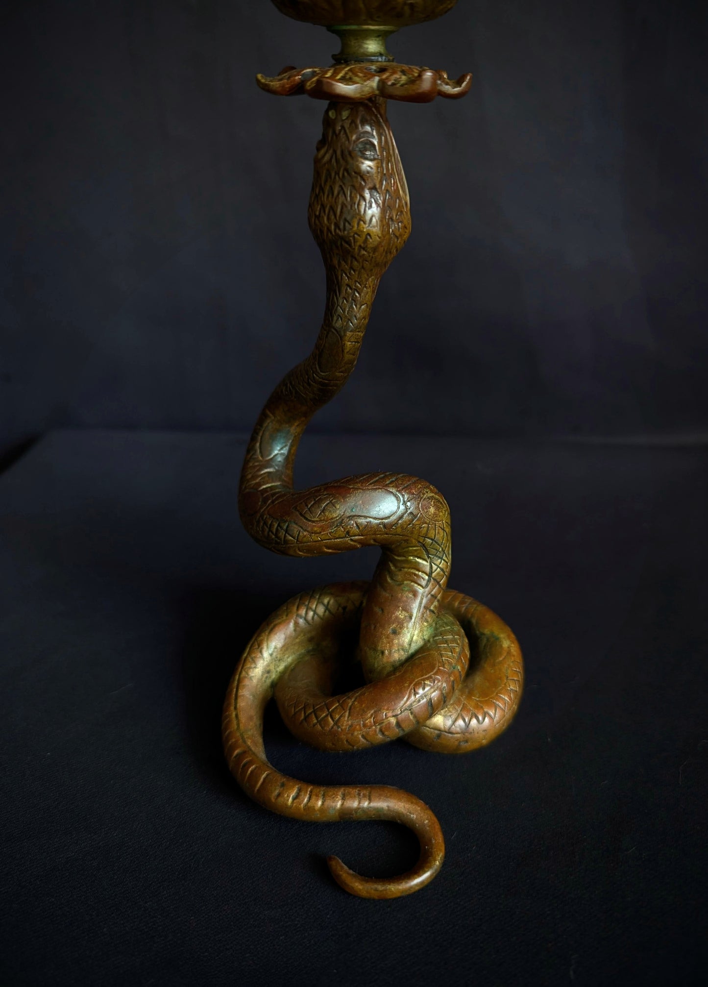 Antique bronze Snake candle holder