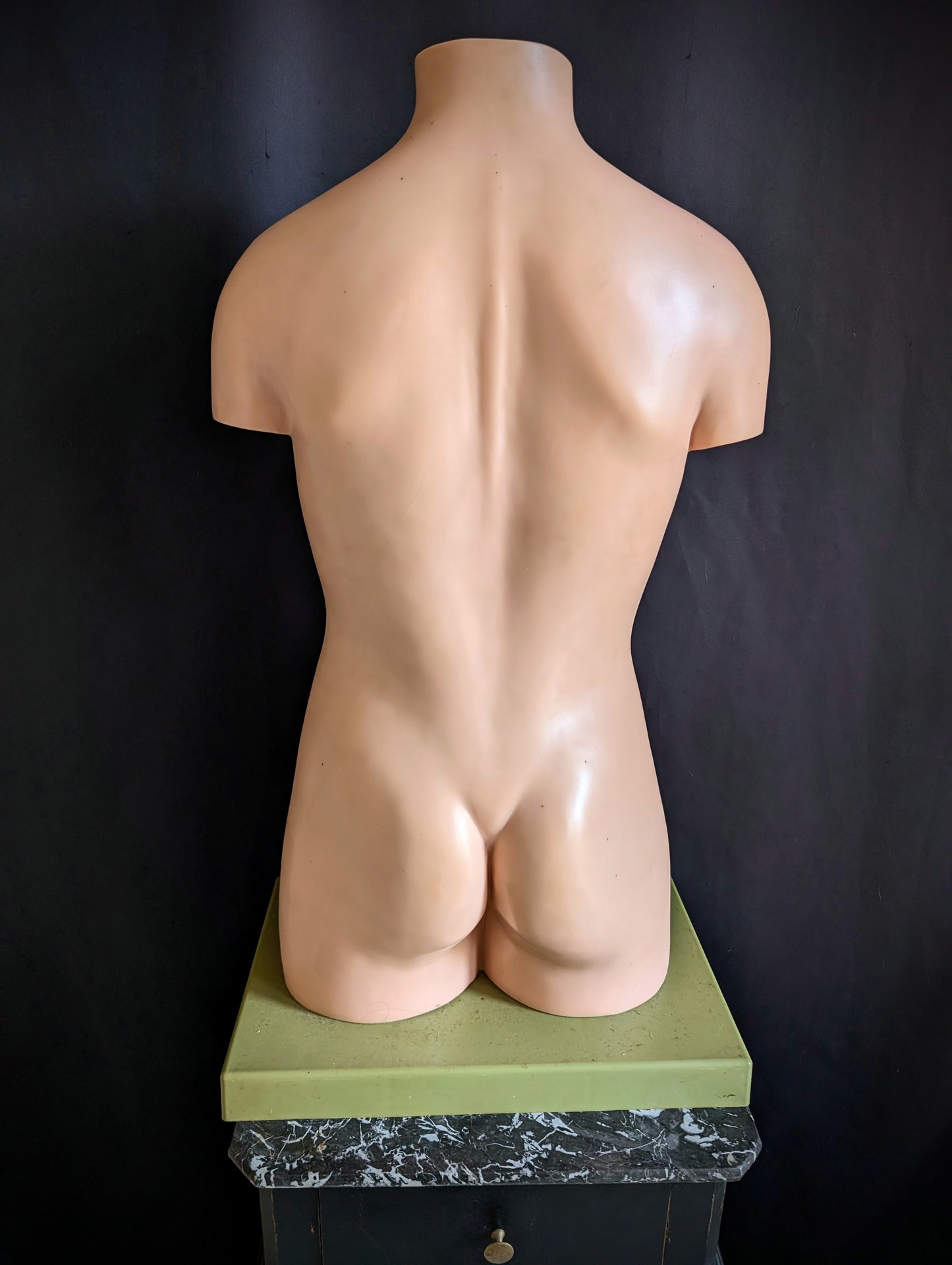 Vintage anatomical model from Germany
