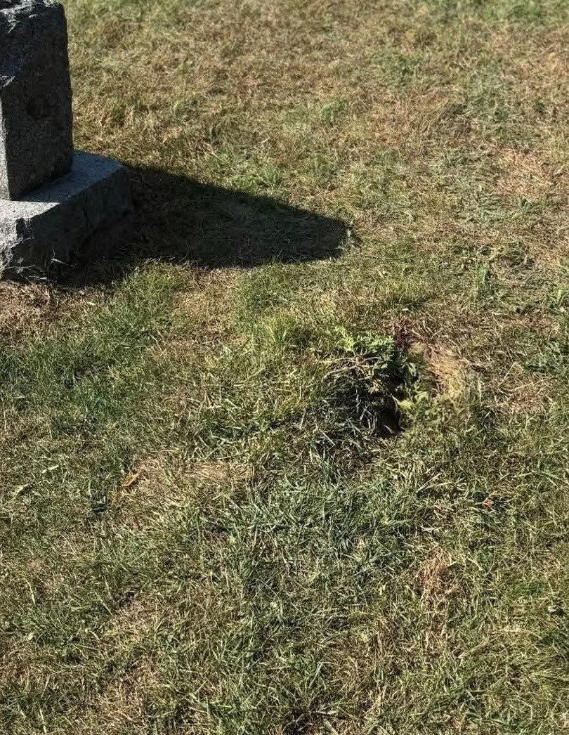 Dirt from ED GEIN's grave with photos