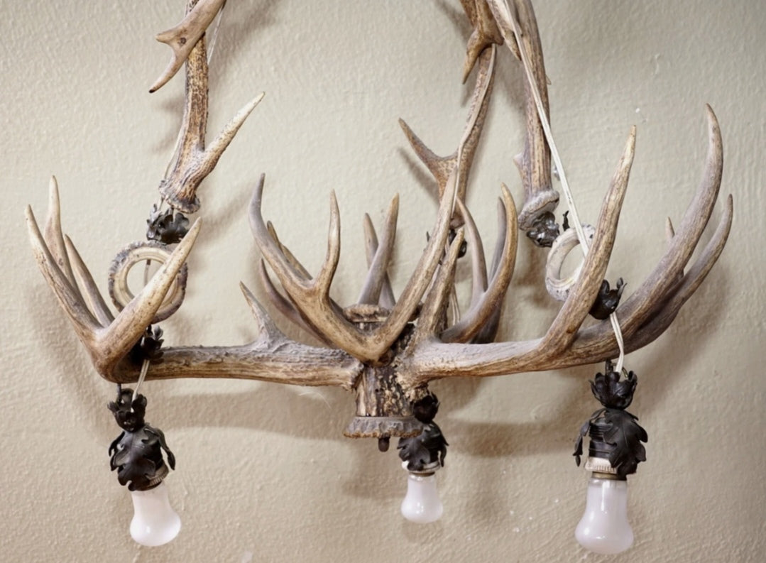 Antler Deer chandelier