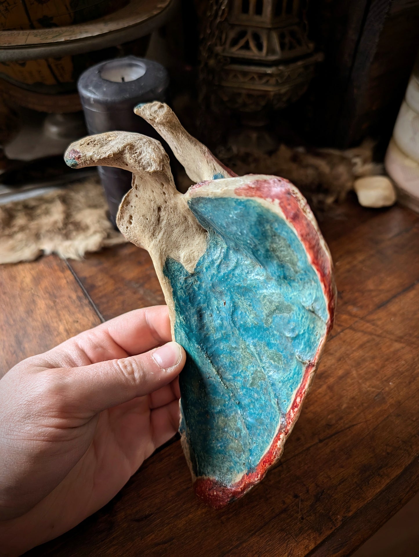 Antique medical Scapula From late 19th with original painting
