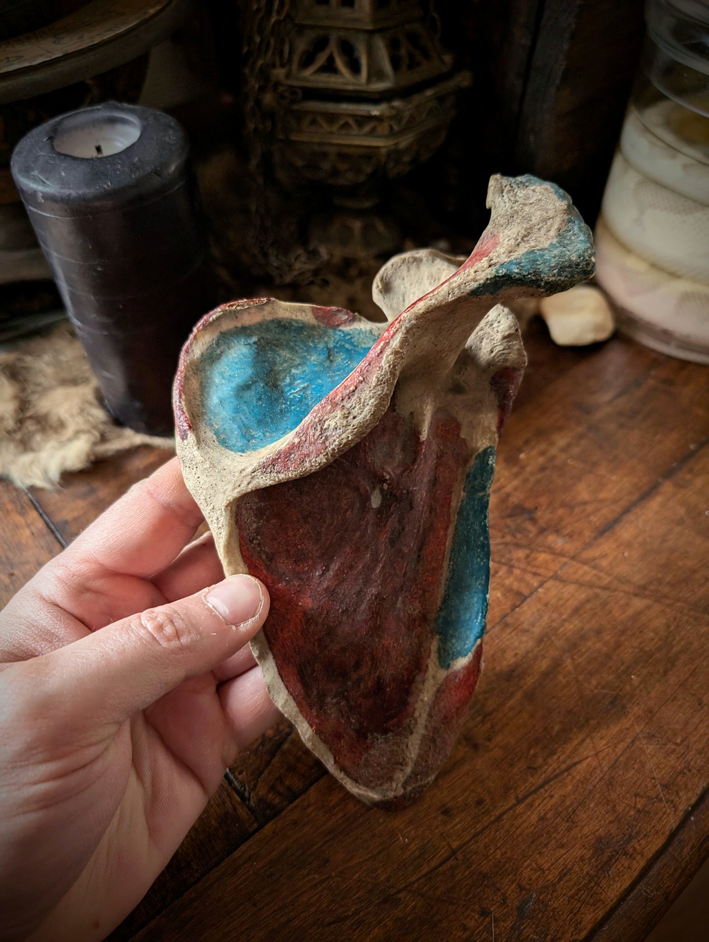 Antique medical Scapula From late 19th with original painting