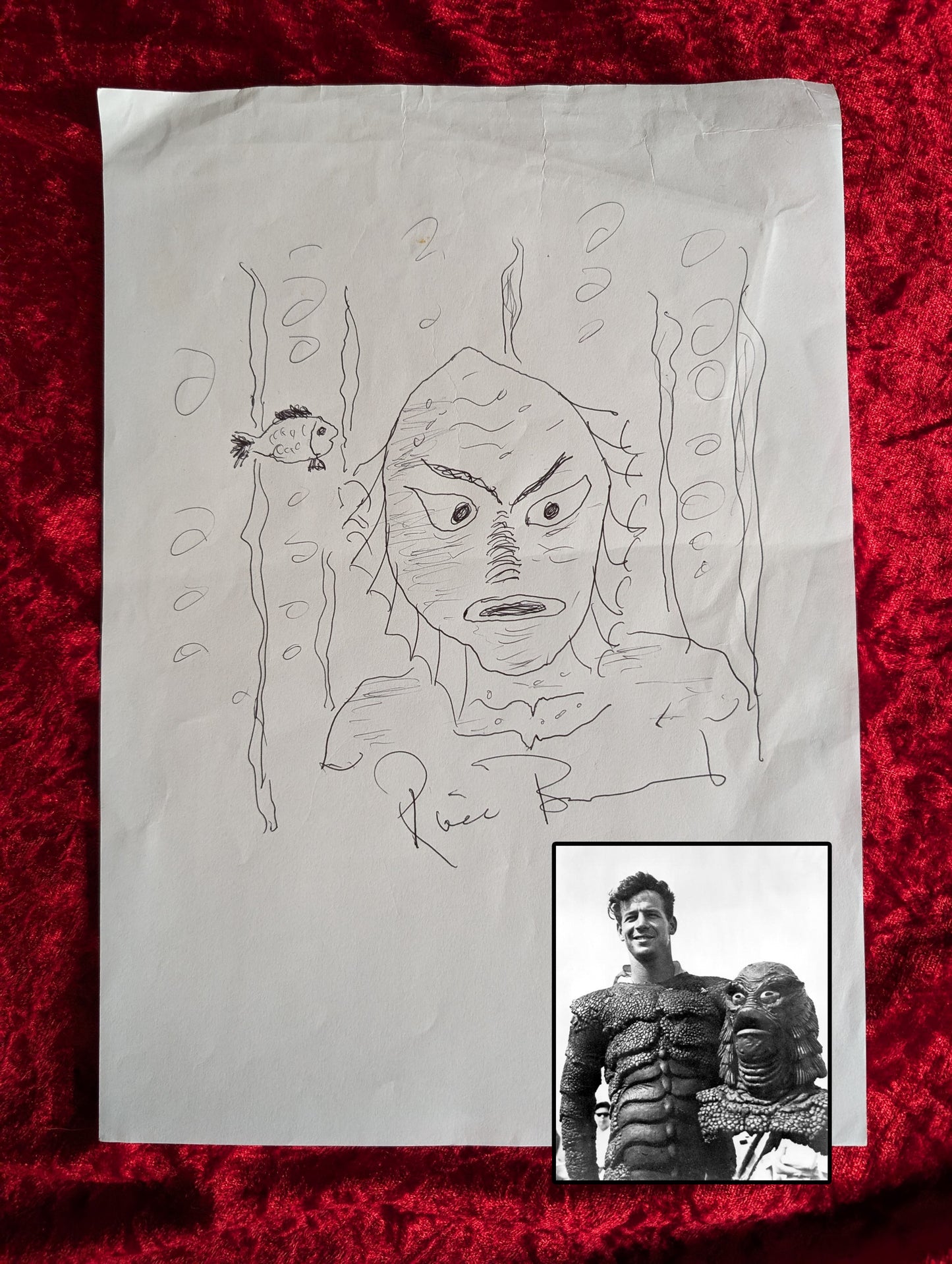 The Creature from the Black Lagoon, drawing made the monster himself ! (Ricou Browning Signed)