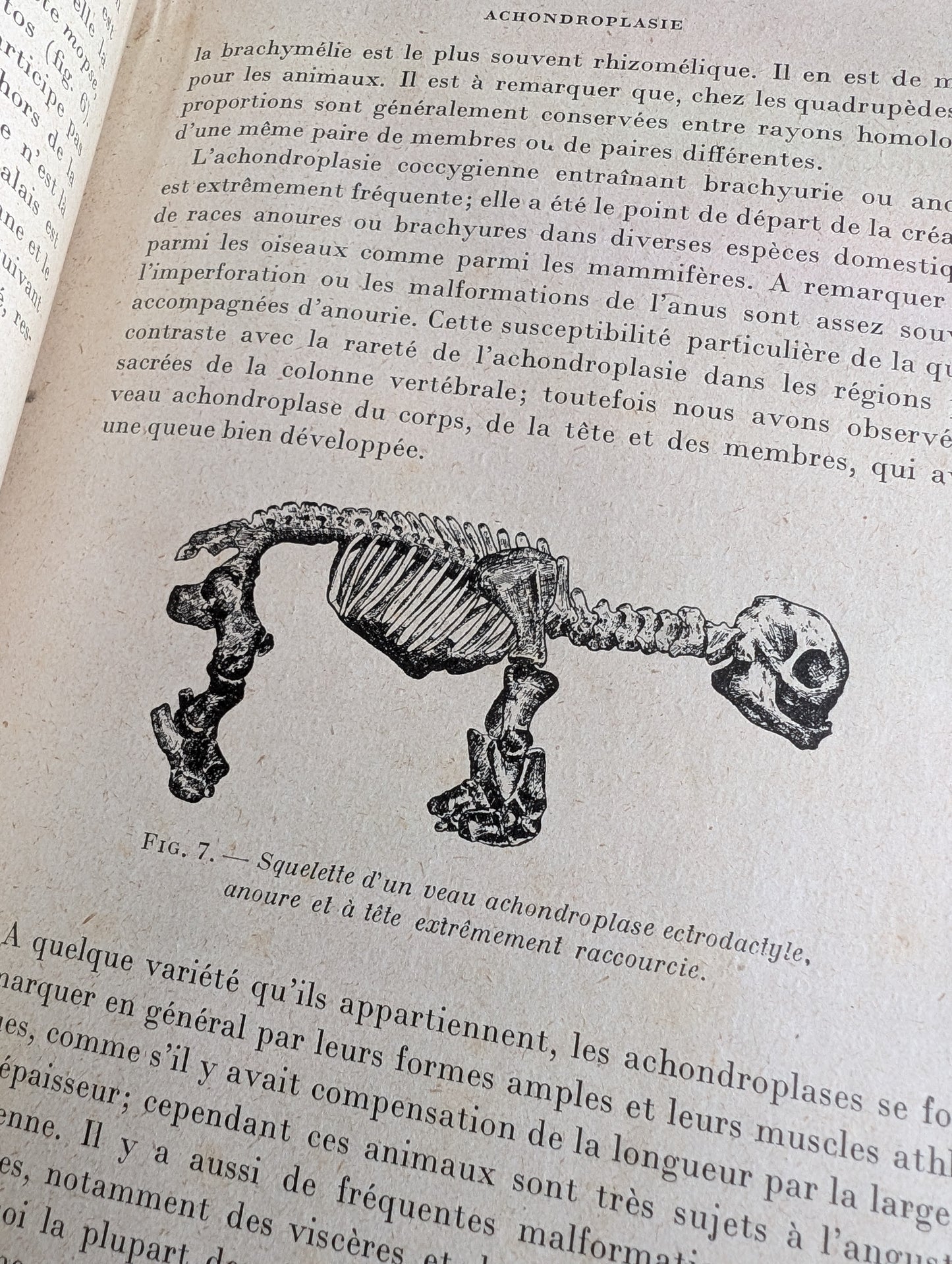 Livre 1927 Traité de Tératologie (252 figures de monstres et malformations)