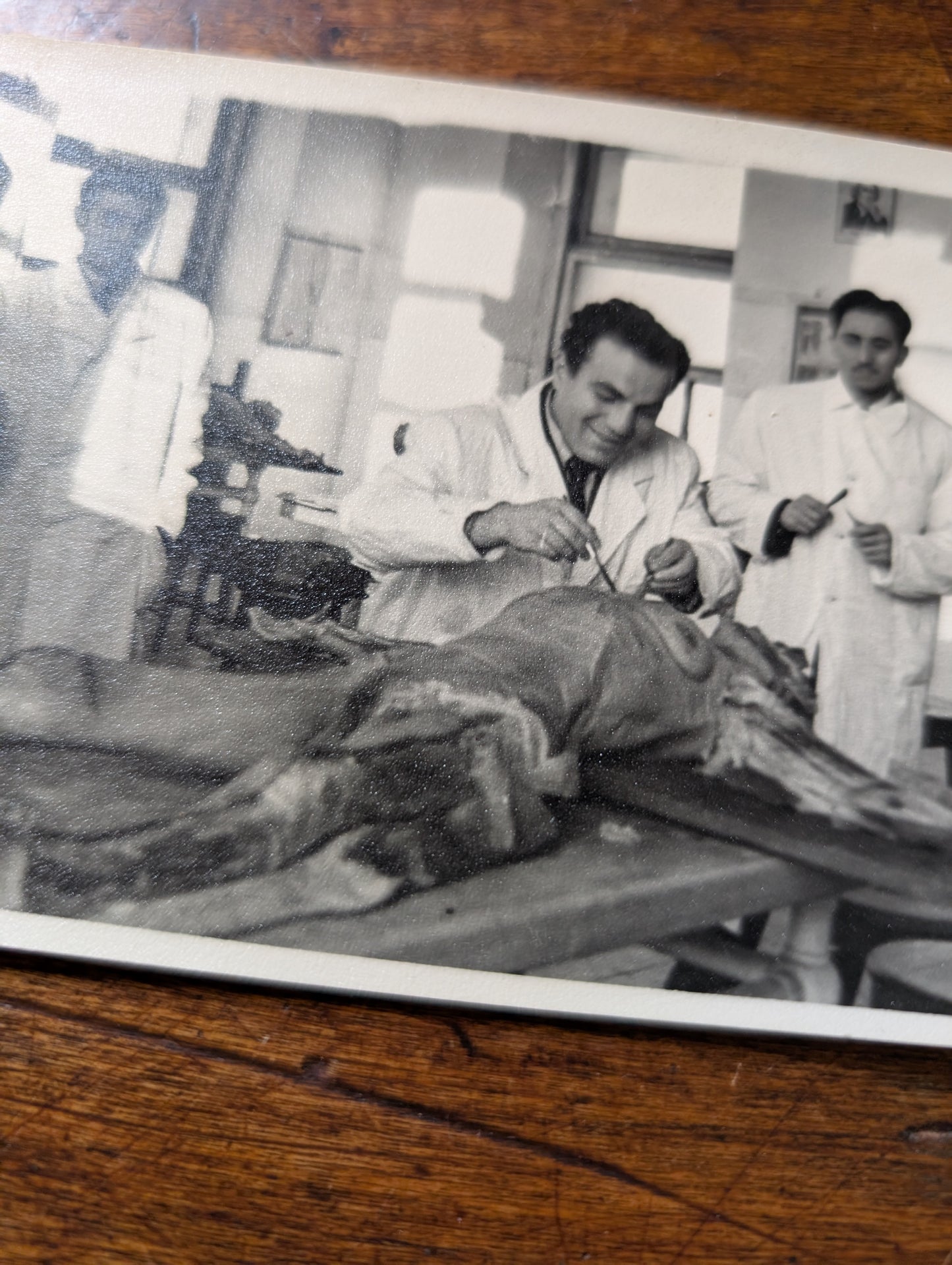 Autopsy photo from 1940's #2