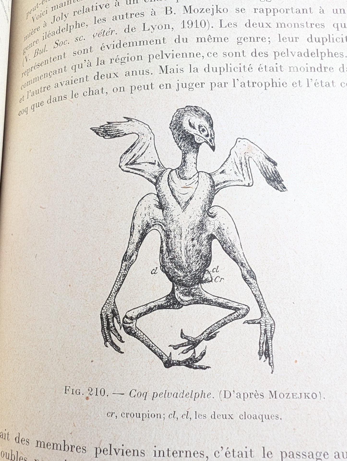 Livre 1927 Traité de Tératologie (252 figures de monstres et malformations)