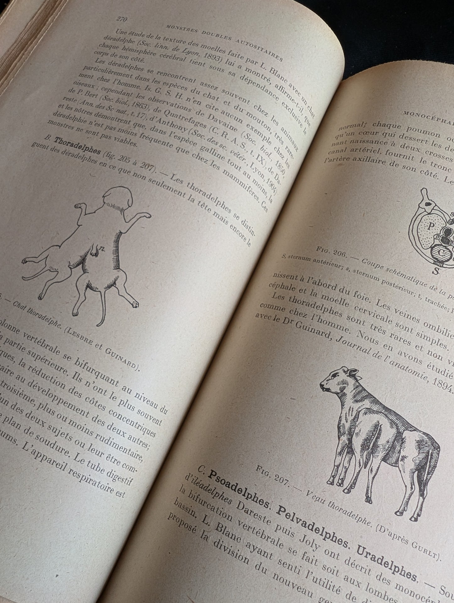 Livre 1927 Traité de Tératologie (252 figures de monstres et malformations)