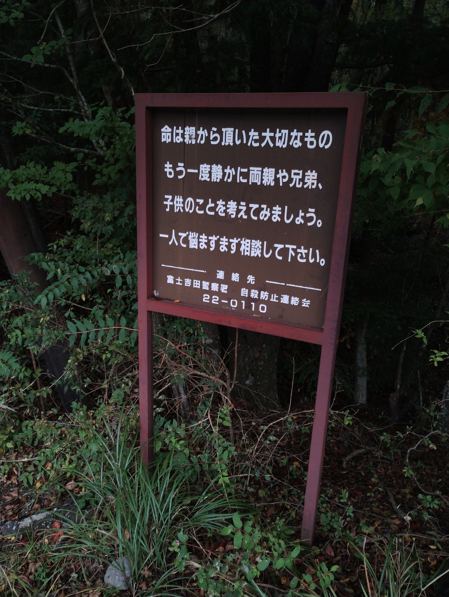Blue string from the Suicide forest Aokigahara in Japan 120cm