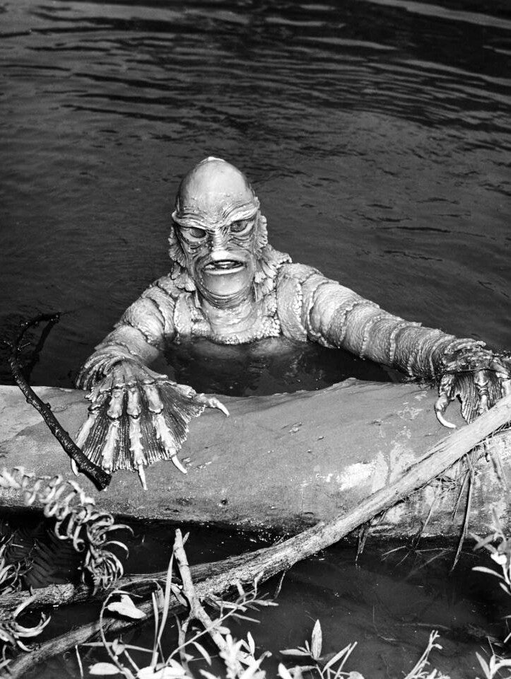 The Creature from the Black Lagoon, drawing made the monster himself ! (Ricou Browning Signed)