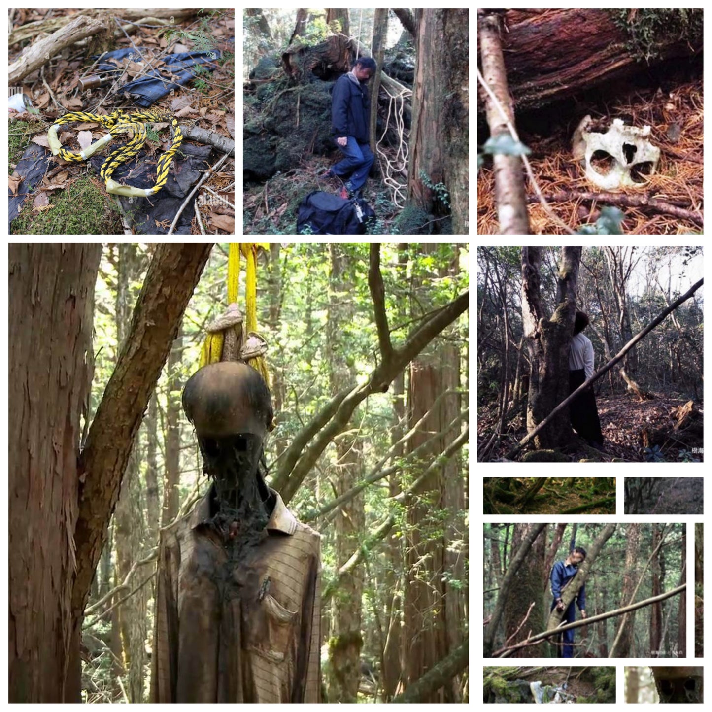 Blue string from the Suicide forest Aokigahara in Japan 120cm