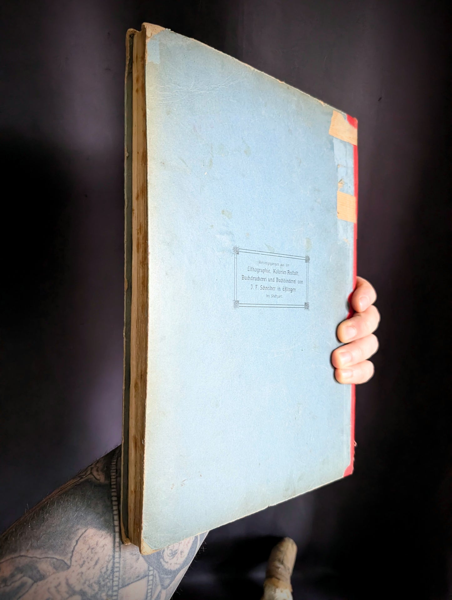 Old German book from 1886 "Naturgeschichte der Reptilien, Amphibien, Fische, Insekten.." by Dr Schubert