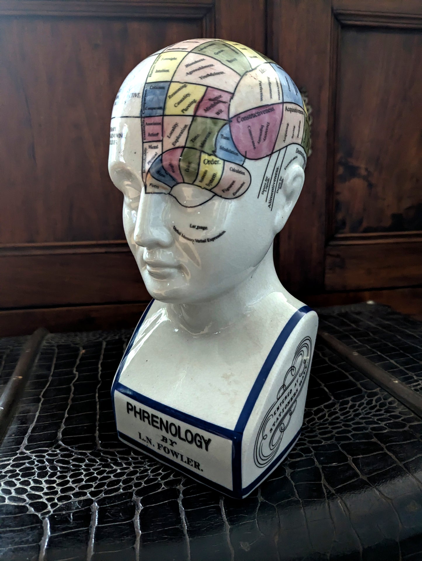 Phrenology bust from London 29cm