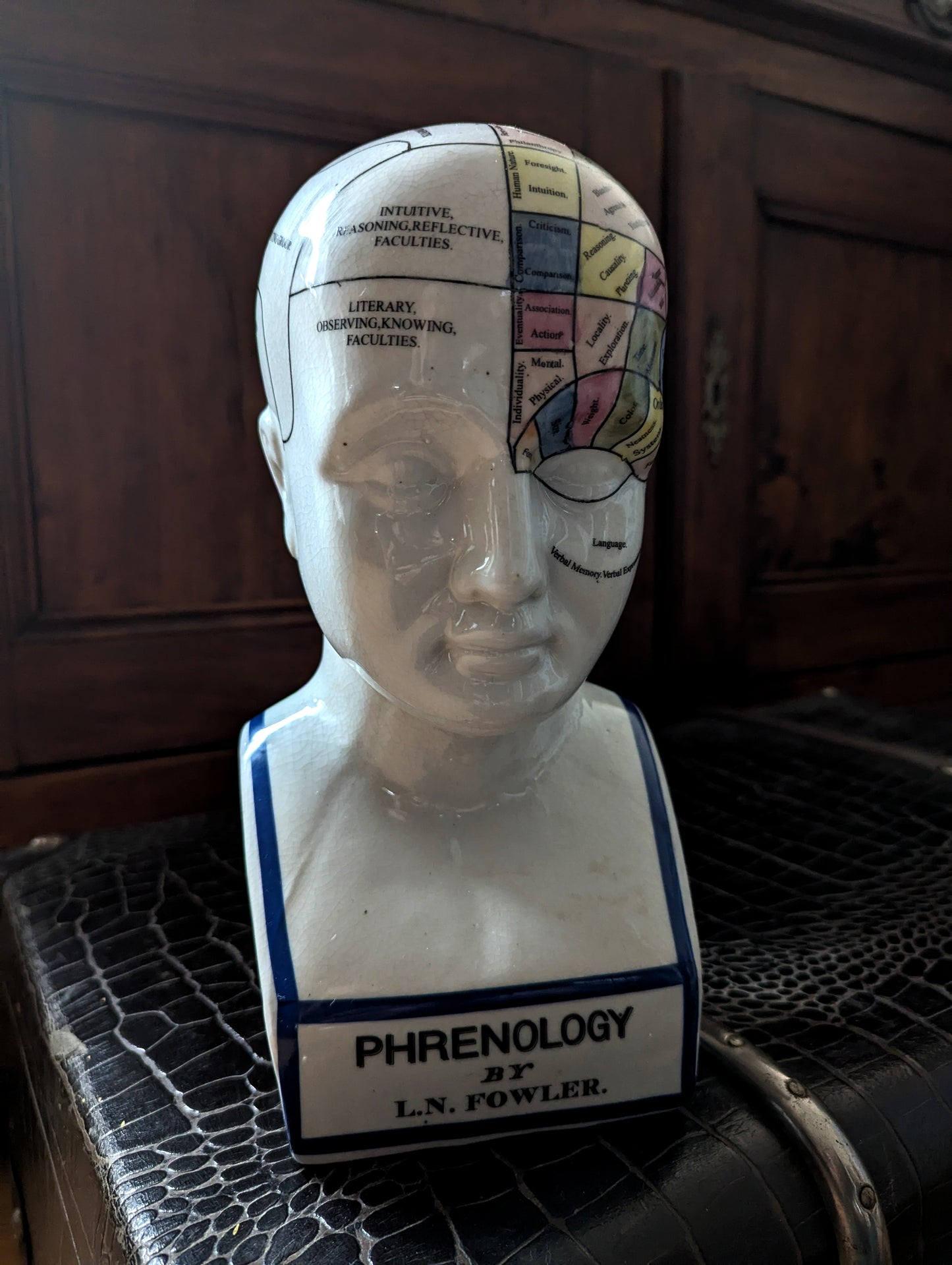 Phrenology bust from London 29cm