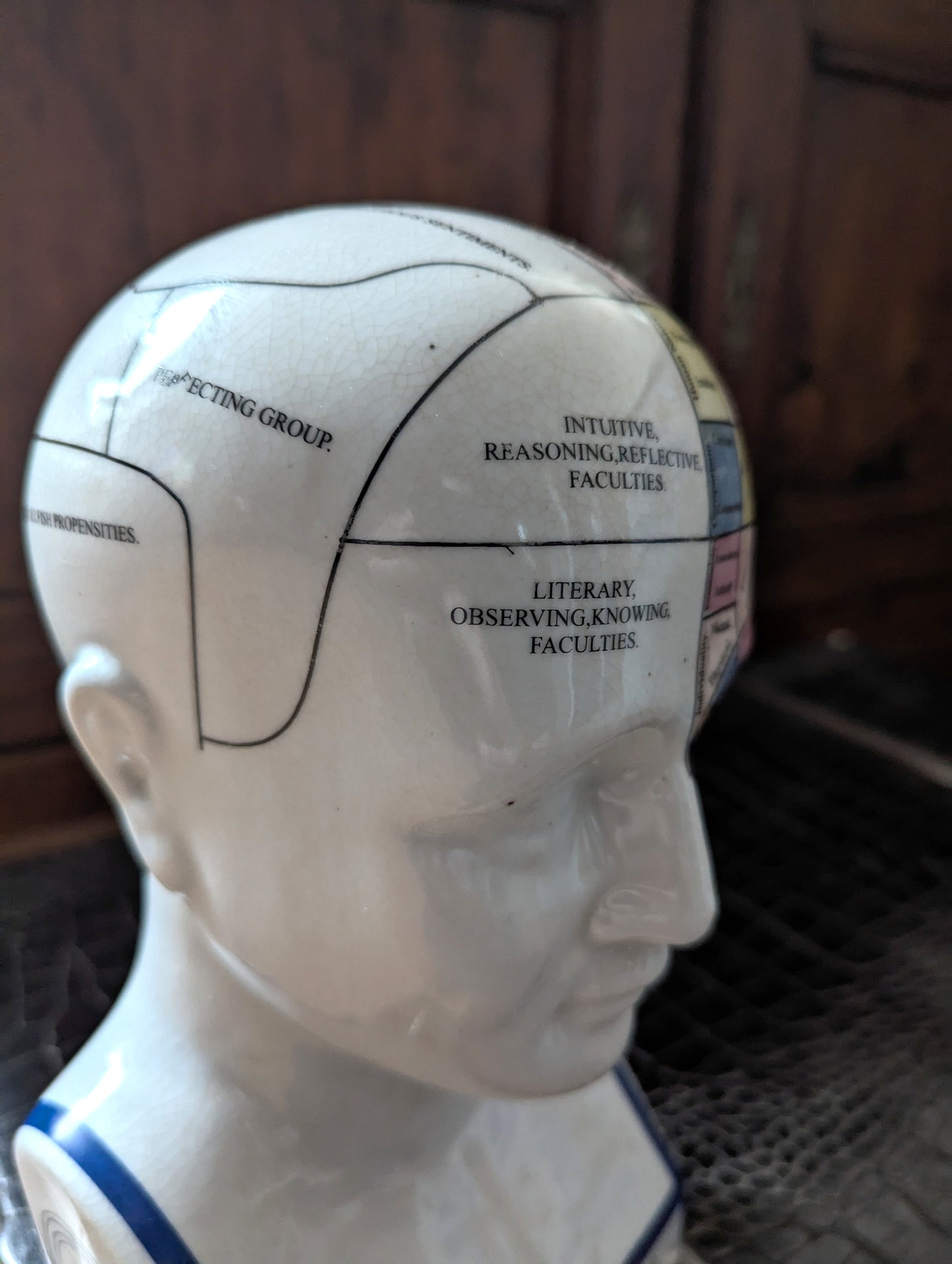 Phrenology bust from London 29cm