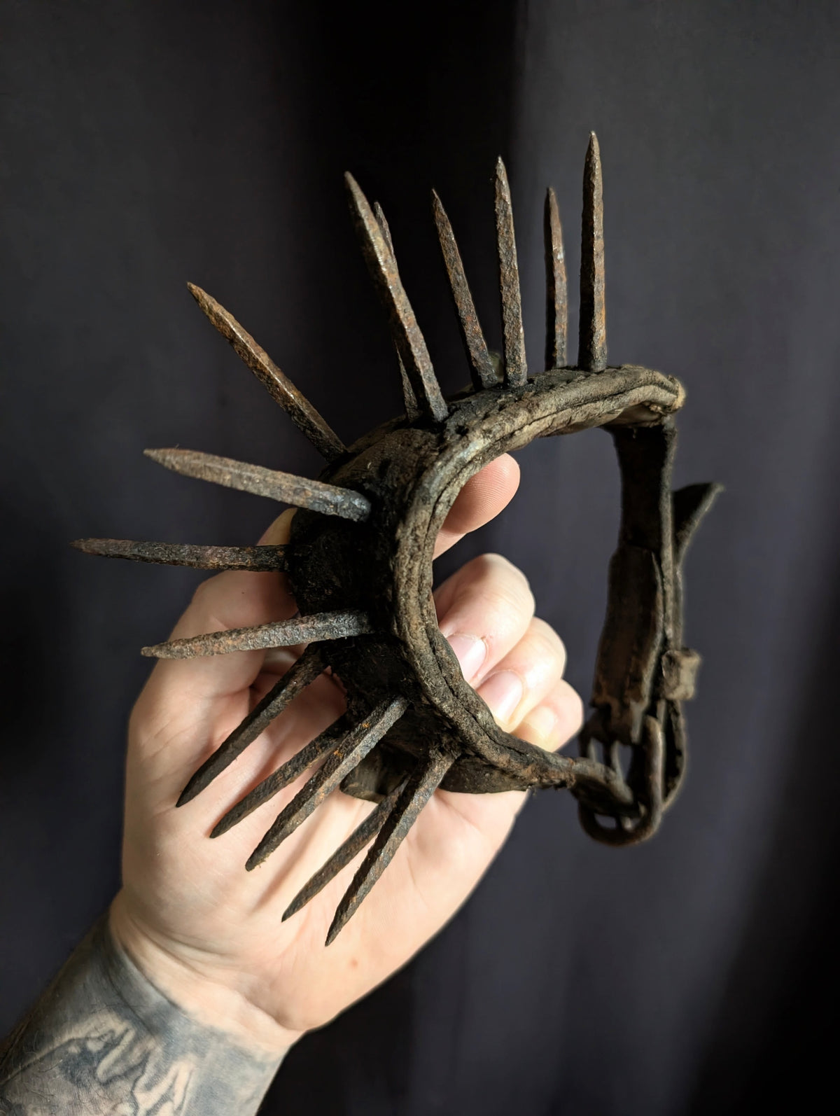 An authentic and antique spiked "anti-wolf" dog collar (late 19th century)
