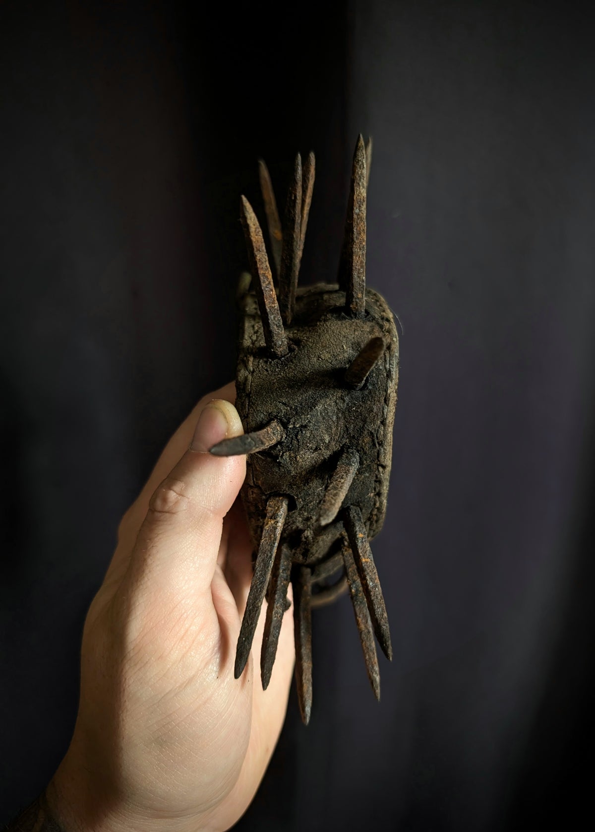 An authentic and antique spiked "anti-wolf" dog collar (late 19th century)
