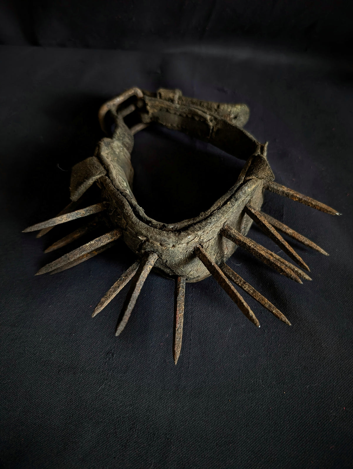 An authentic and antique spiked "anti-wolf" dog collar (late 19th century)