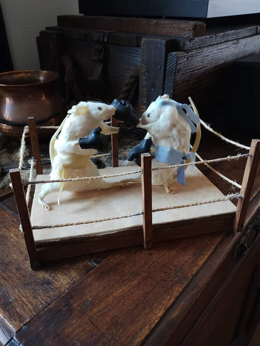 Taxidermy scene of mouse boxing