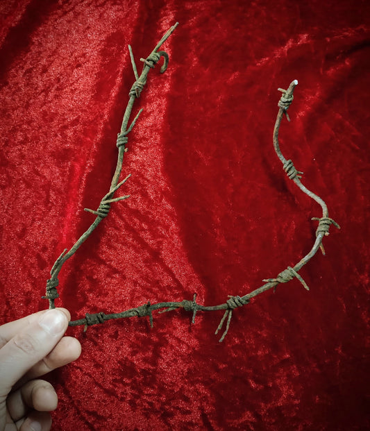 Original barbed wire from a German WWI war front 30 000 dead