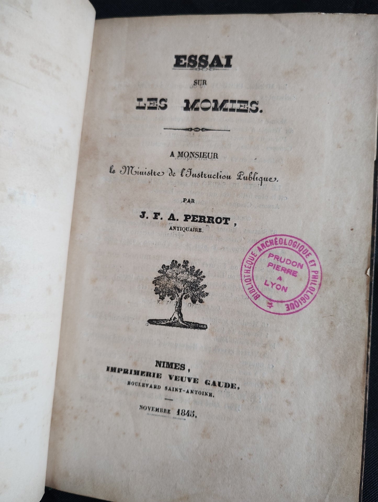 Livre 1845 "Essai sur les Momies" de Perrot