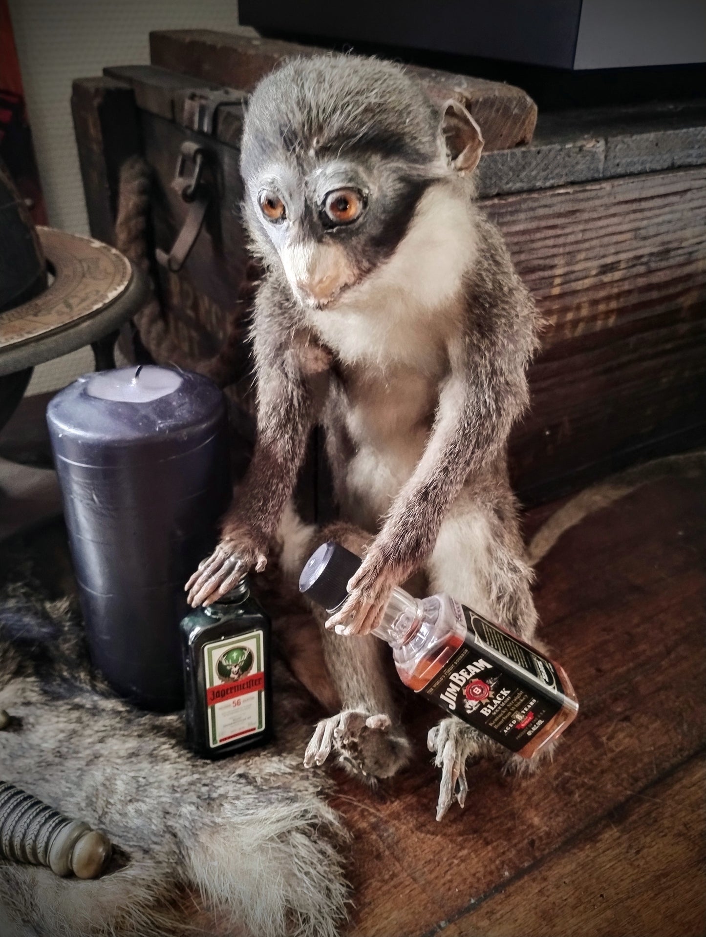 Old alcoholic monkey 1950's