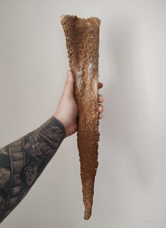 Stalactite de 50cm