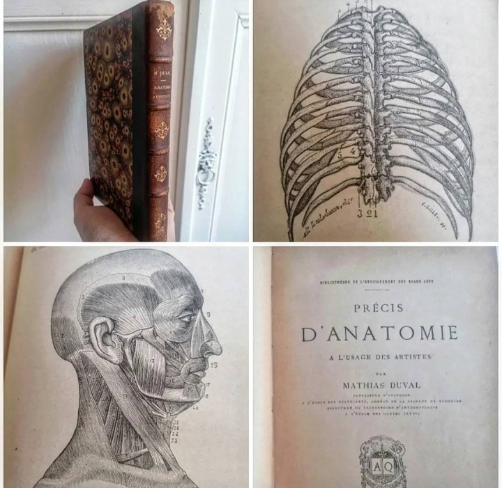 Livre relié "Précis d'Anatomie à l'usage des Artistes" édition XIXème