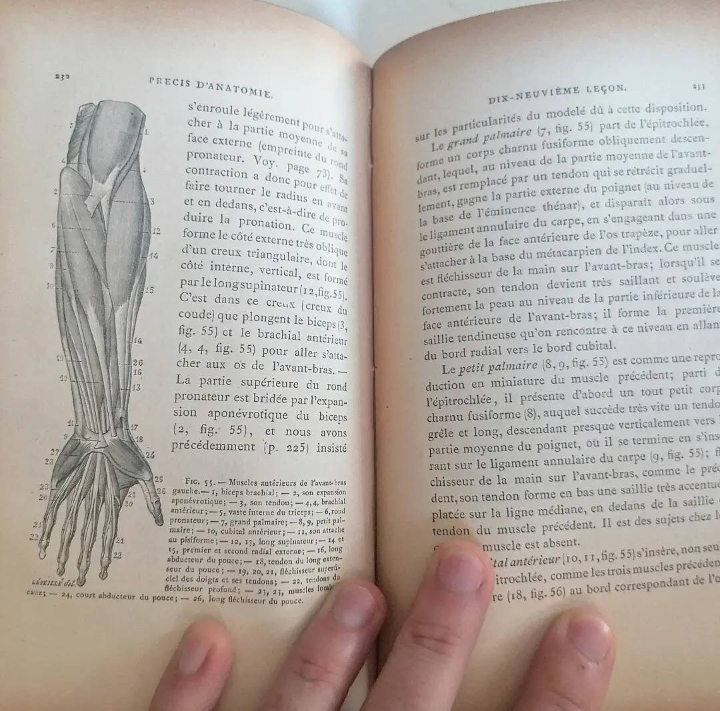 Livre relié "Précis d'Anatomie à l'usage des Artistes" édition XIXème