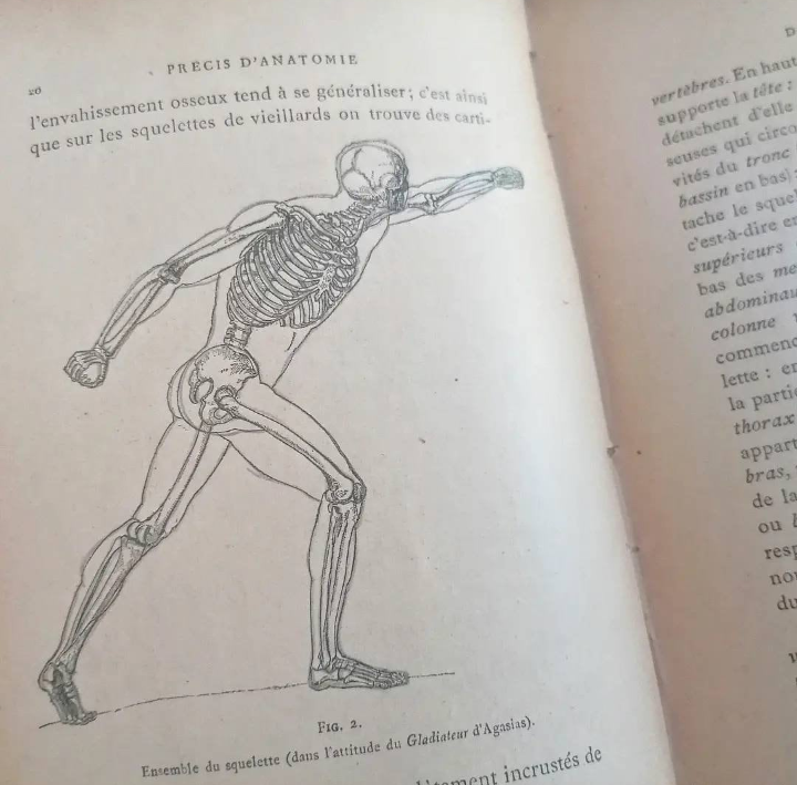 Livre relié "Précis d'Anatomie à l'usage des Artistes" édition XIXème