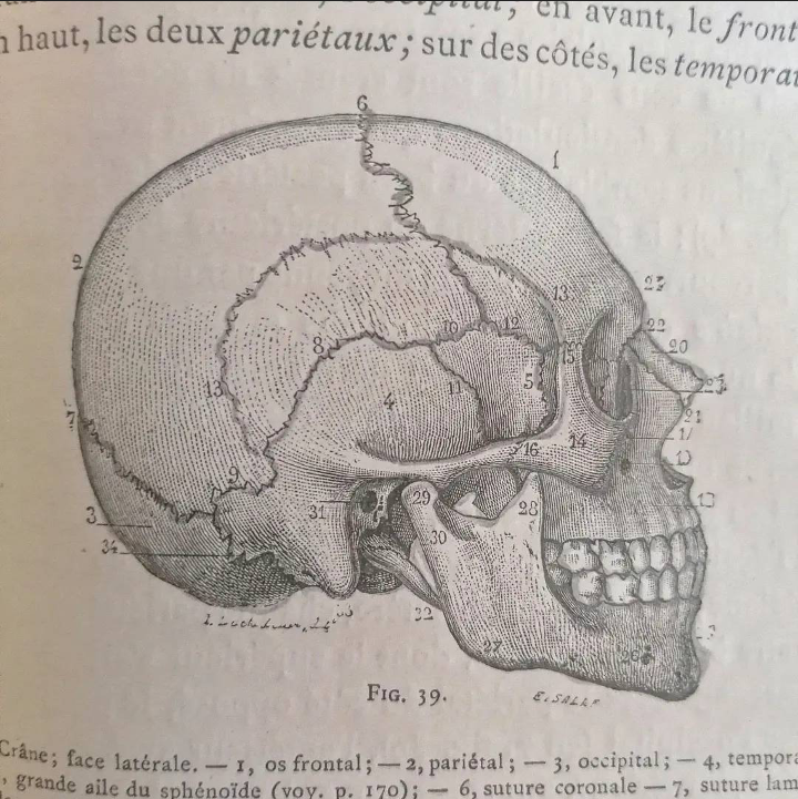 Livre relié "Précis d'Anatomie à l'usage des Artistes" édition XIXème