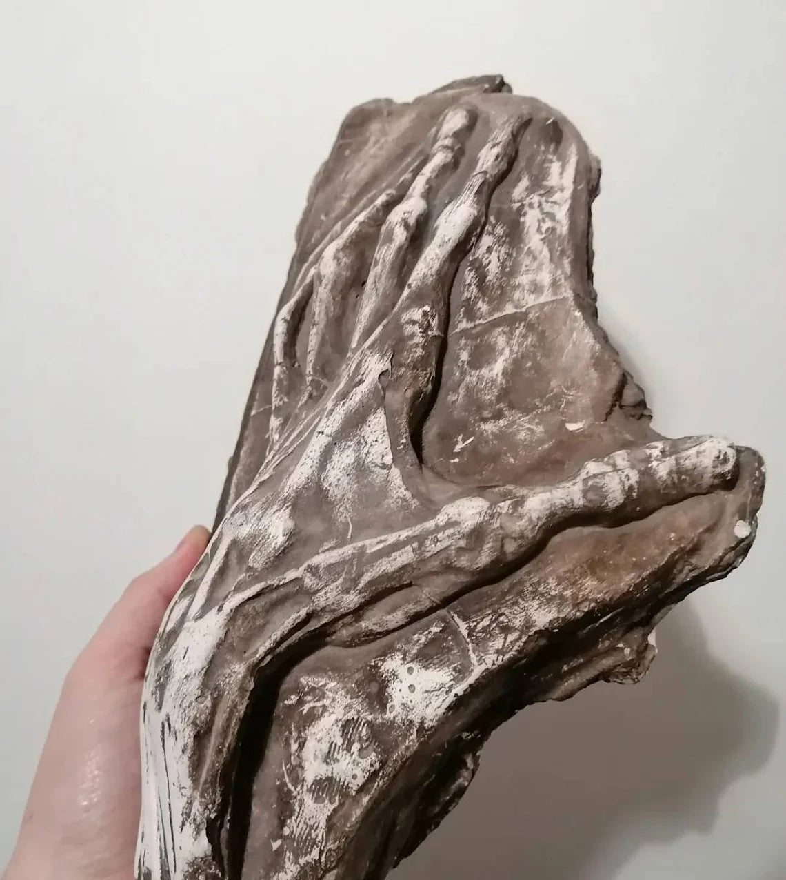 Antique anatomical model of a hand from 1880