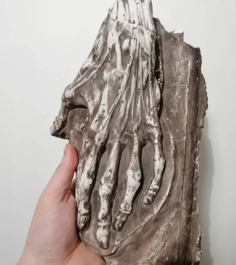 Antique anatomical model of a hand from 1880