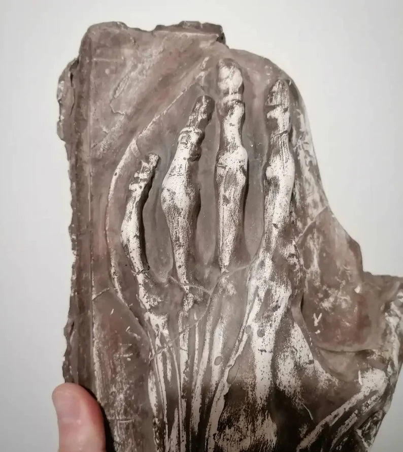 Antique anatomical model of a hand from 1880