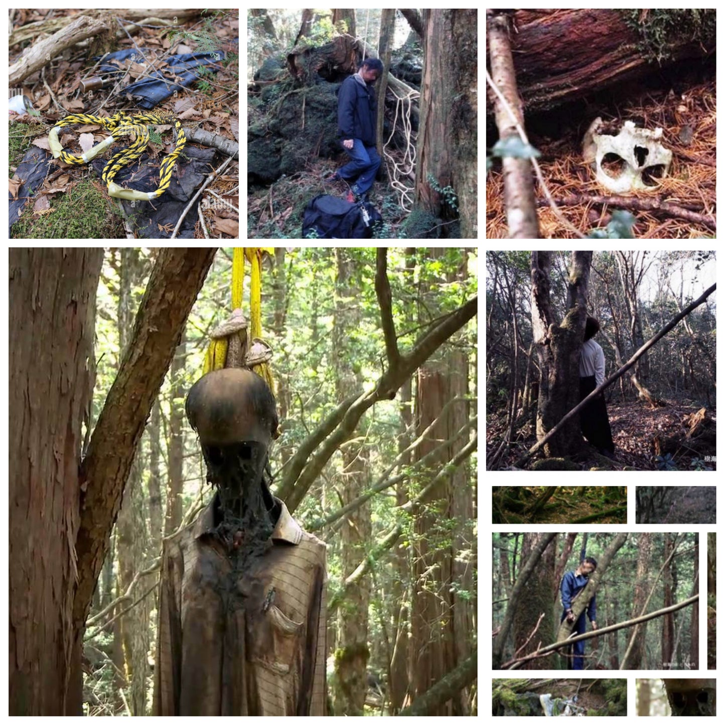 1 meter of white string from the Suicide Forest Aokigahara in Japan