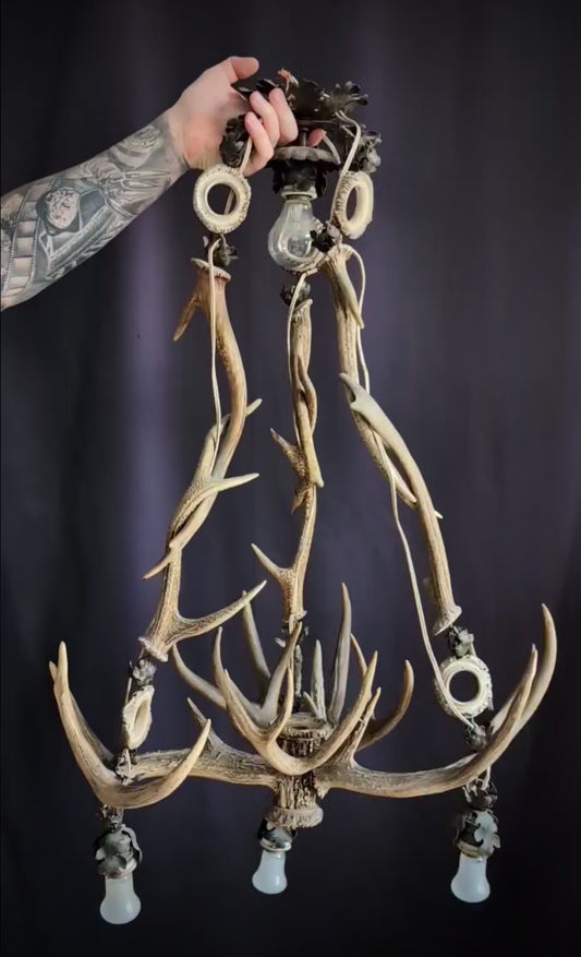 Antler Deer chandelier