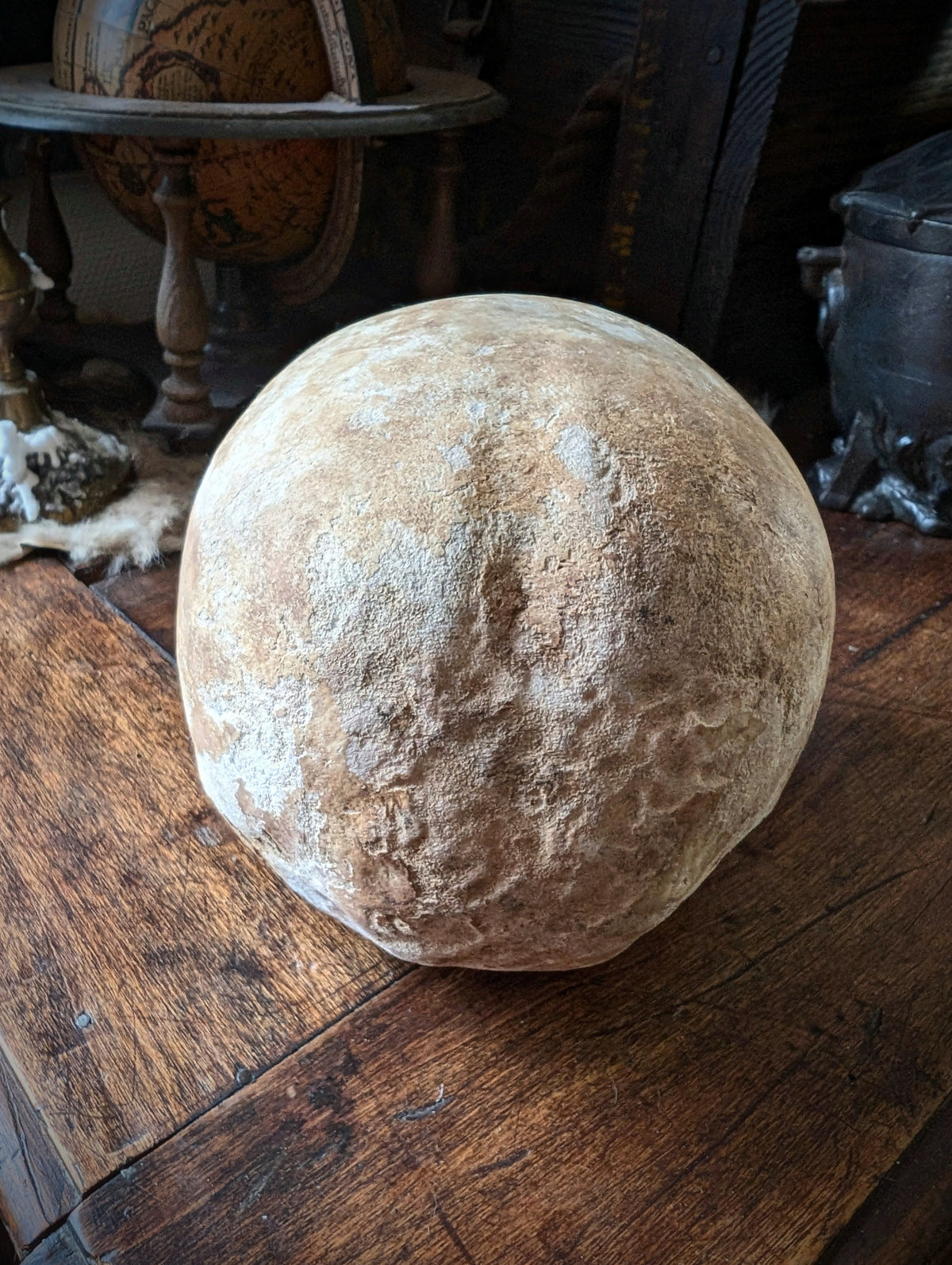 Antique female skull from Spain, late 19th century