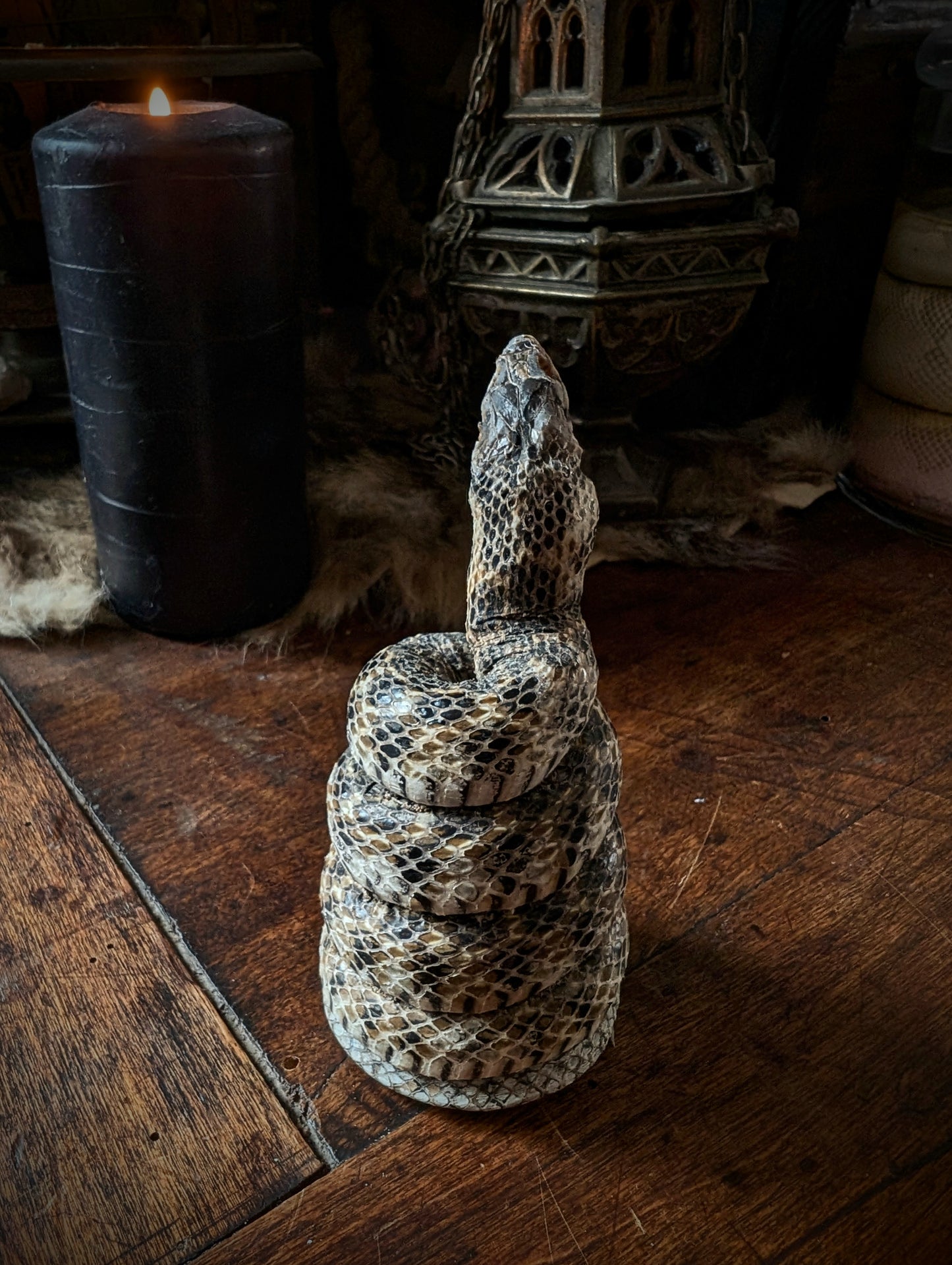 Old little snake taxidermy