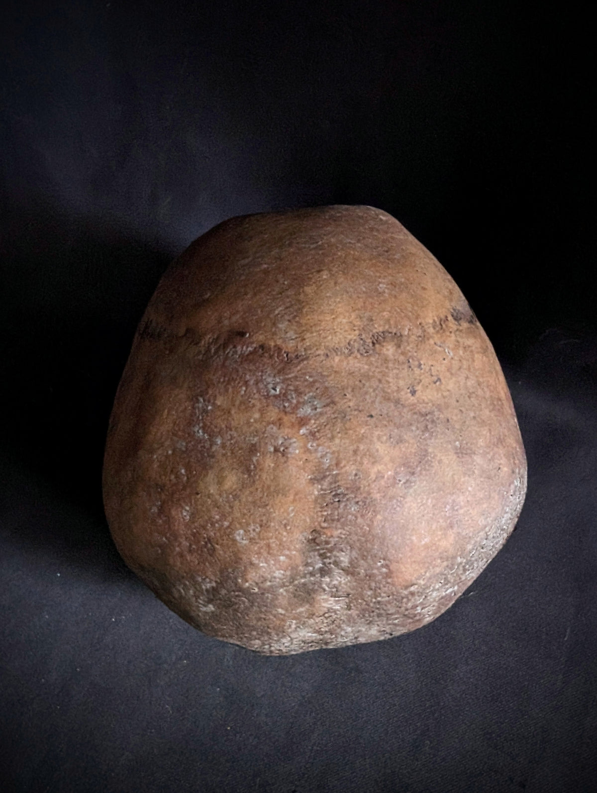 Antique Woman Skull with dark patina – Unusual Cranial Shape (Mid-19th Century, Italy)