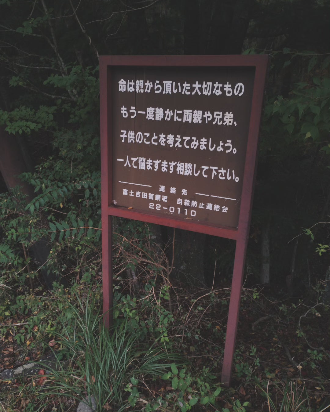 1 meter of white string from the Suicide Forest Aokigahara in Japan