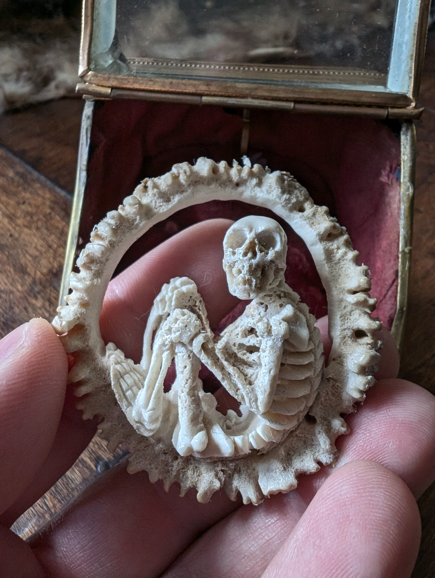 Memento mori / Hand-Carved Skeleton Figure in Deer Antler – Antique Glass Display Casket