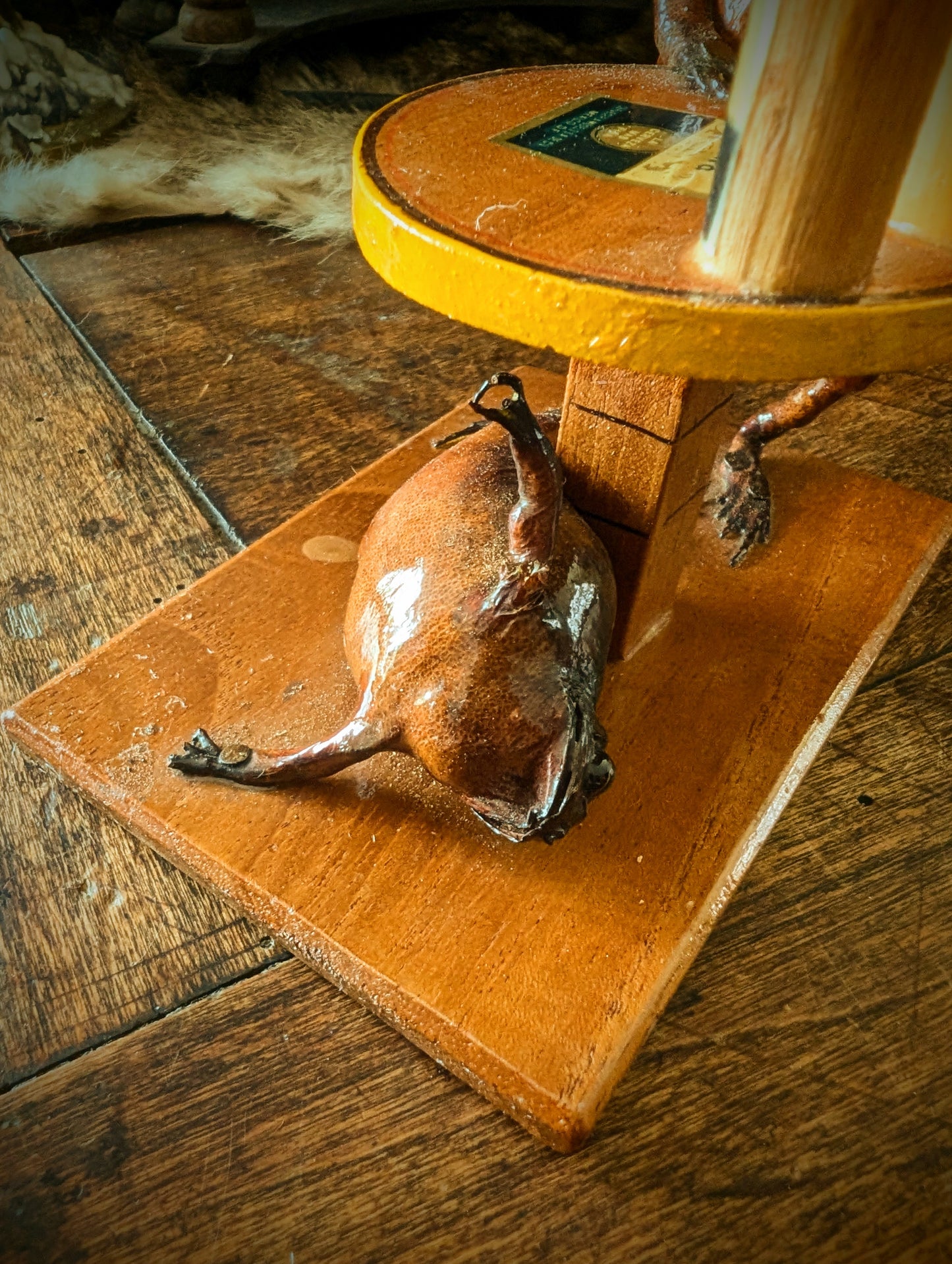 Vintage Frogs Drinking Scene  taxidermy / Never trust a frog with your beer !