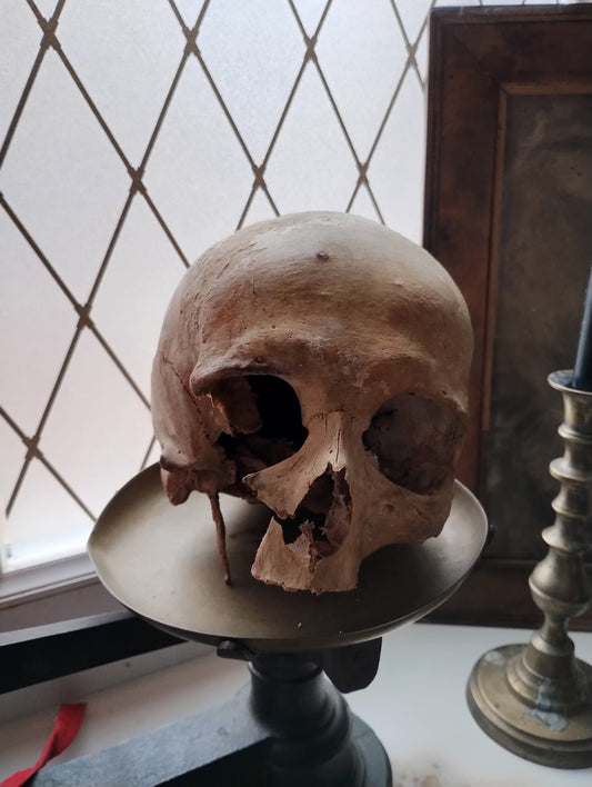 Old skull with Eagle Syndrom
