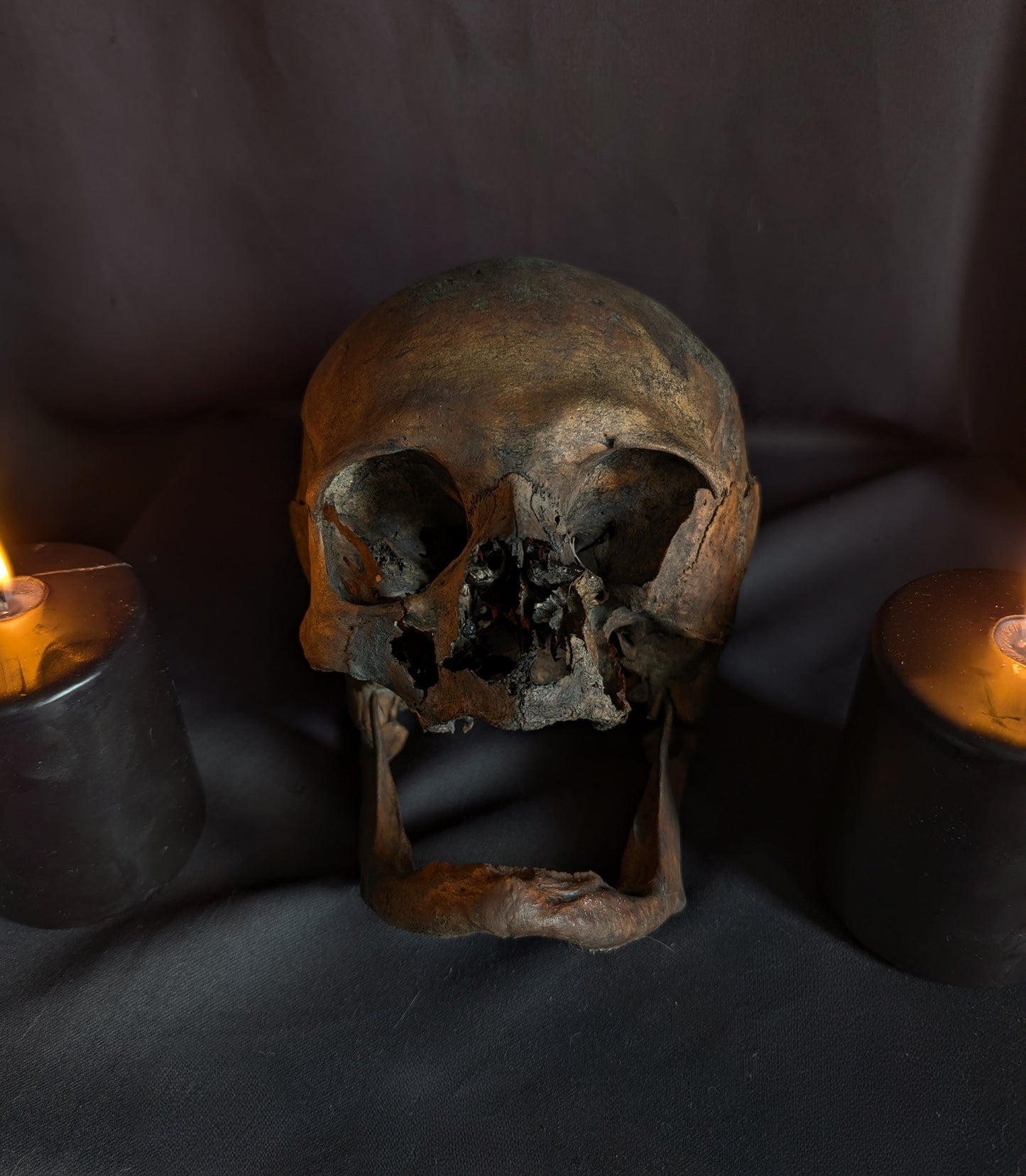 Antique geriatric skull with a dark patina, 19th century