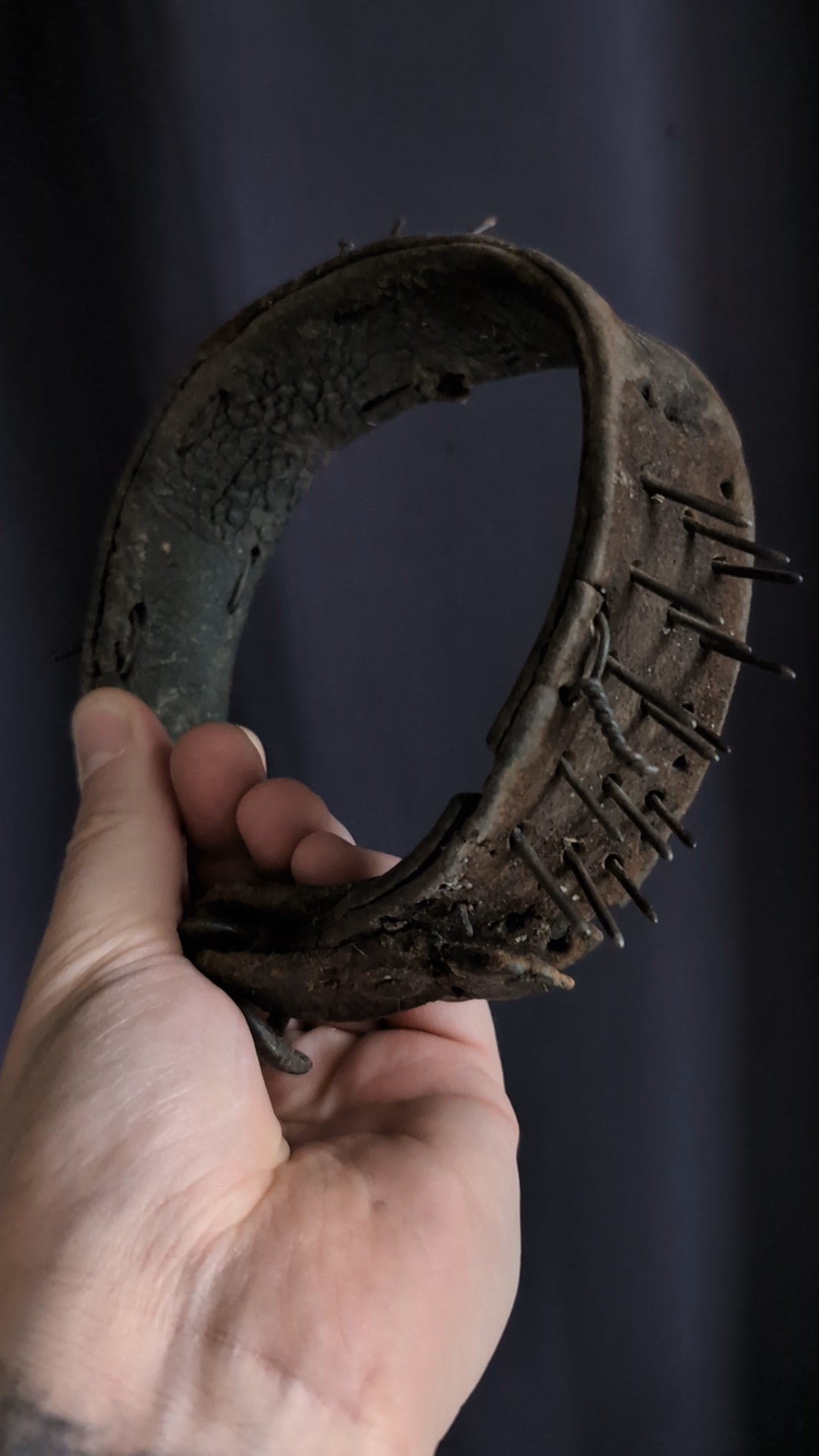 Antique anti Wolf Colar for dog (1900's)