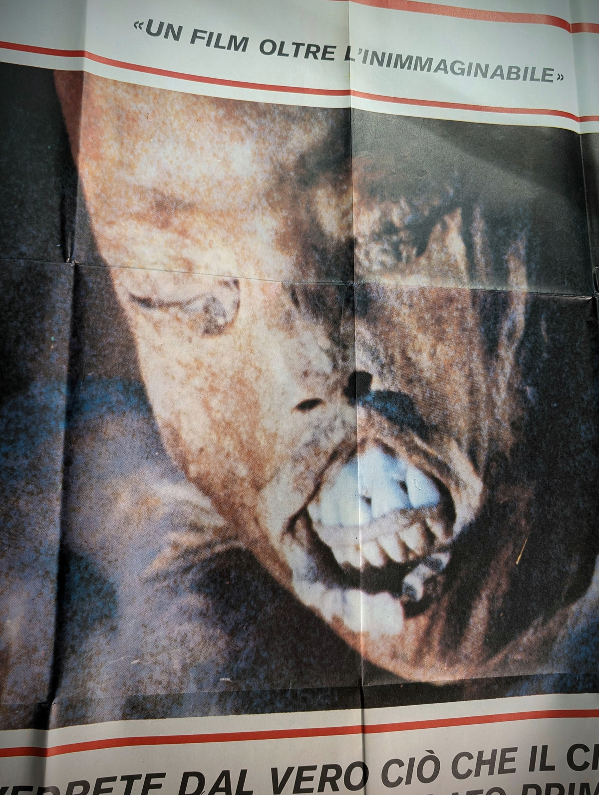 Rare Original 1981 Italian Movie Poster  "Le Facce della Morte" (Faces of Death, 1978) Mondo/Shockumentary  (100 × 140 cm)